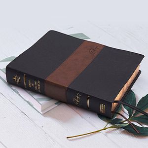 Biblia para niños - Tienda online de Biblias