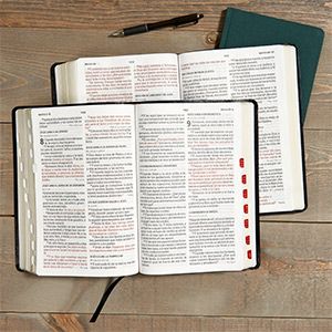 Biblias En Español Lifeway _ La Biblia en Español Sencillo – OVMN