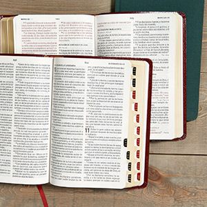 Biblias Letra Grande Tamaño Manual