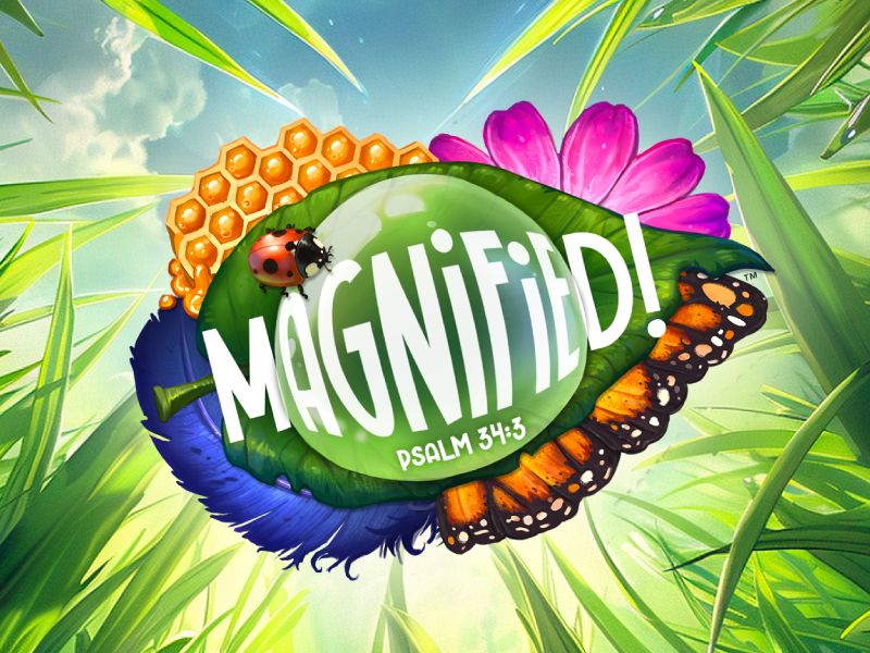 Magnified VBS