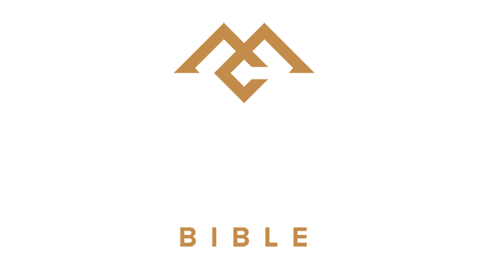 CSB Men of Character Bible