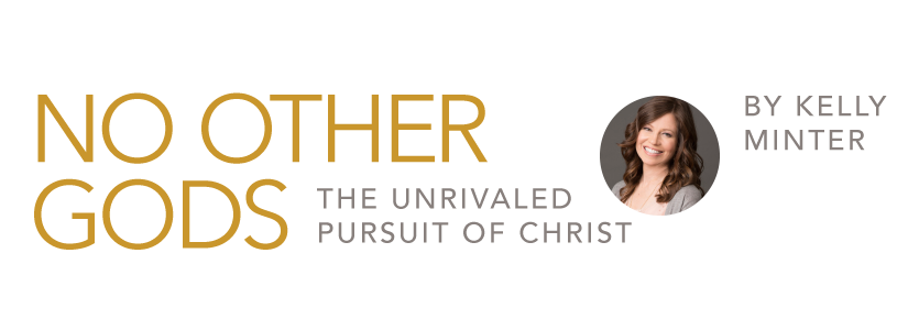 No Other Gods The Unrivaled Pursuit Of Christ Kelly Minter Lifeway