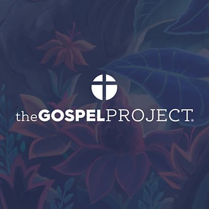 Bible Studies - The Gospel Project Image