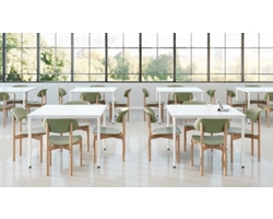 Arbor Wood Frame Poly Armless Chair