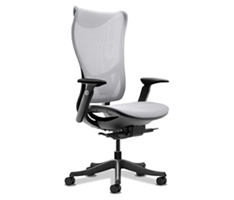 Raleigh High Back All Mesh Chair
