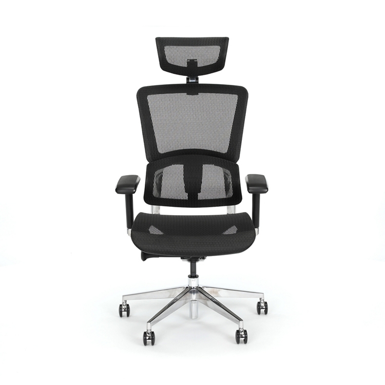 Zola Mesh High-Back Office Chair with Removable Headrest