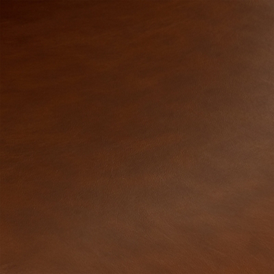 Saddle Brown