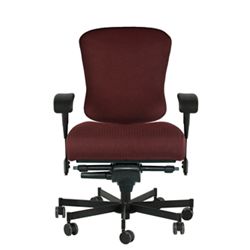 Dauerhaft 24/7 Fabric Chair with Swing Arms