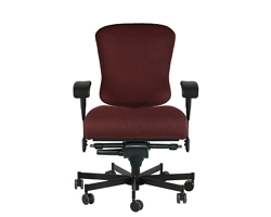 Dauerhaft 24/7 Fabric Chair with Pivot Arms