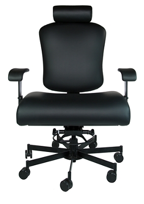 Eurotech Ergohuman Mid-Back Mesh-Leather Chair, Black-Chrome