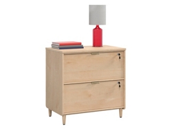 Clifford Place 2-Drawer Lateral File - 29.5"W x 18.5"D