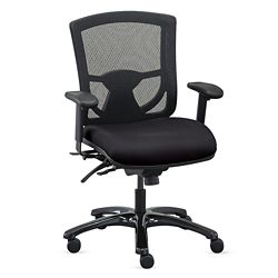 Ergonomic Office Chairs with Lumbar Support, Headrests and High ...