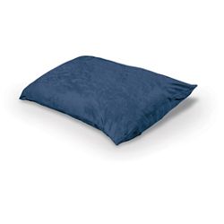 Indoor Pinto Pillow