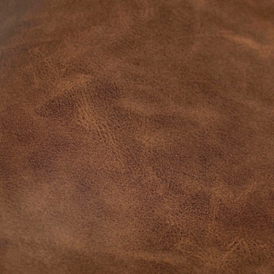 Sonoran Saddle Brown