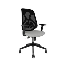 Roswell Ergonomic Task Chair with Modern Design-Black/Black