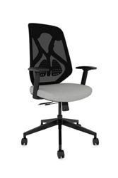 Roswell Ergonomic Task Chair with Modern Design-Black/Black