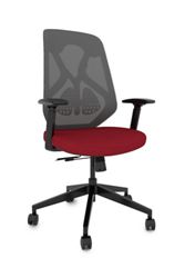 Roswell Ergonomic Task Chair with Modern Design-Black/Grey