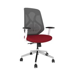Roswell Ergonomic Task Chair with Modern Design-White/Grey