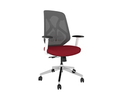 Roswell Ergonomic Task Chair with Modern Design-White/Grey