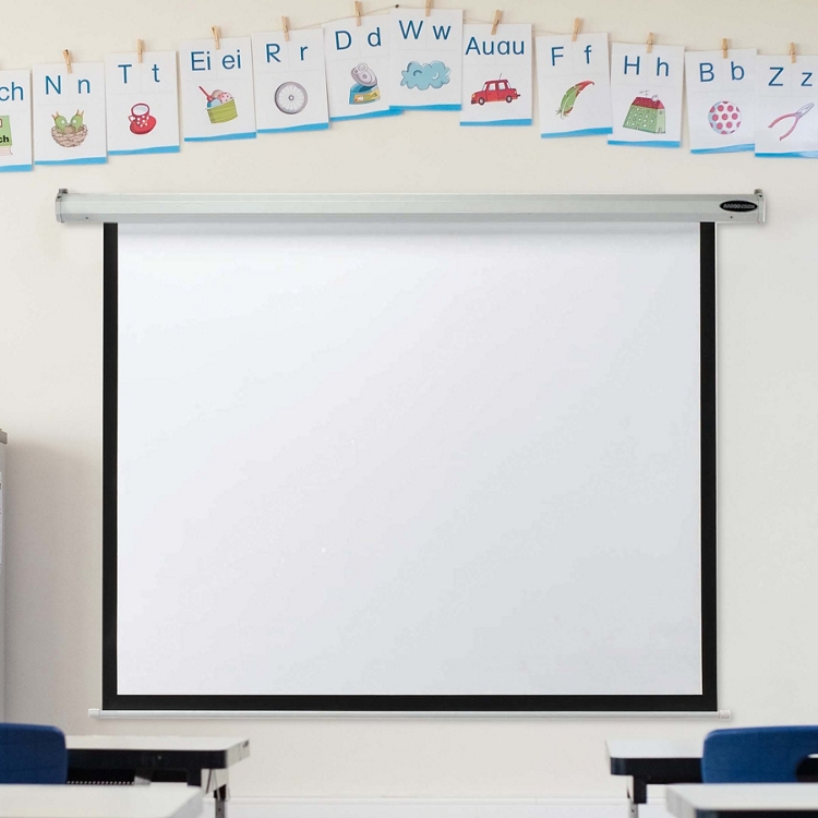 Vision Projection Screen, Manual - 50