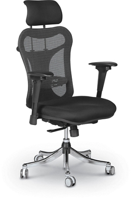 Ergonomic Executive Chair with Headrest by MooreCo NBF