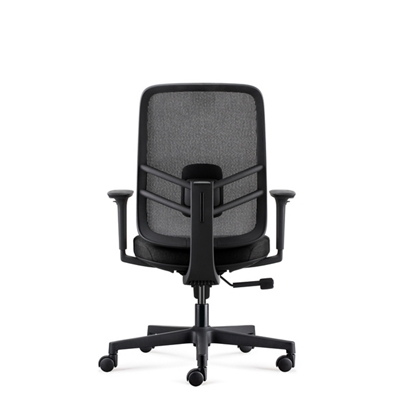 Lira Ergonomic Mesh Back Office Chair