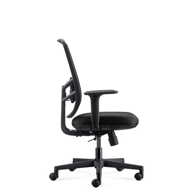 Lira Ergonomic Mesh Back Office Chair