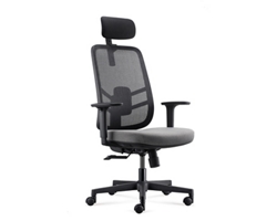 Lira Ergonomic Mesh Back Office Chair with Headrest