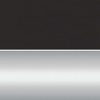 Black/Silver