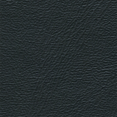Black Vinyl