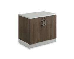 Esquire 29.4"H Two Door Storage Cabinet