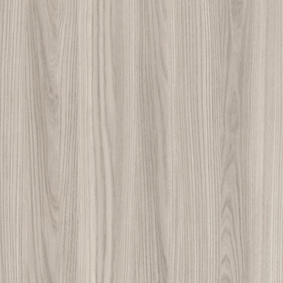 Gray Elm