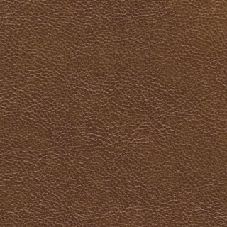 Warm Cognac
