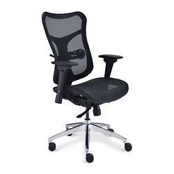 Ergonomic Office Chairs with Lumbar Support, Headrests and High  Adjustability