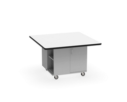 Mini Nucleus Workstation- 48