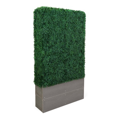 72" Faux Hedge