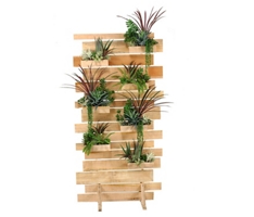 Succulent Living Wall
