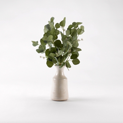 Silver Dollar Eucalyptus Branches in White Ceramic Bottle