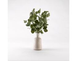Silver Dollar Eucalyptus Branches in White Ceramic Bottle