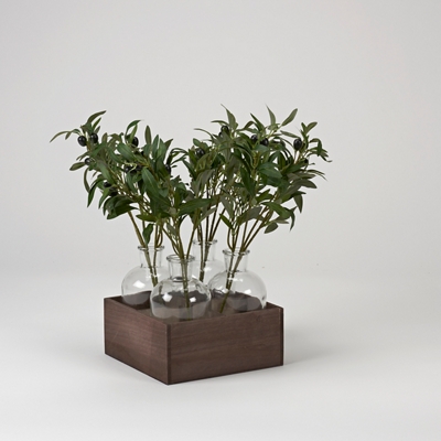 Olive Branches in Glass Bottles in Wood Crate