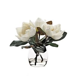 Magnolia Stems in Vase