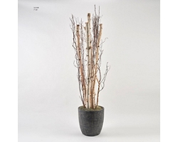 7' Birch Pole and Birch Branches in Round Black Textured Planter