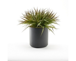Green/Brown Plastic Grass in Black Matte Kendall Pot