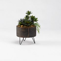 Mini Yucca with Aloe and Echeveria in Rustic Wood Planter with Wire Legs