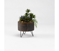 Mini Yucca with Aloe and Echeveria in Rustic Wood Planter with Wire Legs