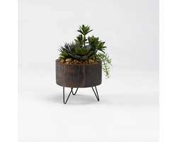 Mini Yucca with Aloe and Echeveria in Rustic Wood Planter with Wire Legs