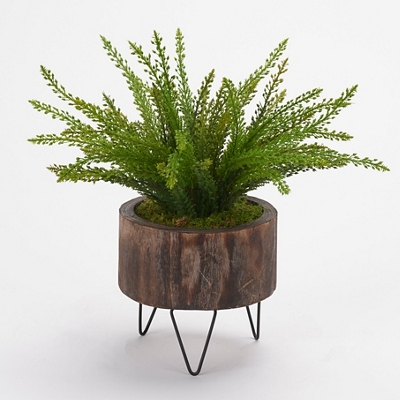 Heather Fern in Round Wood Planter with Wire Legs