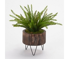 Heather Fern in Round Wood Planter with Wire Legs
