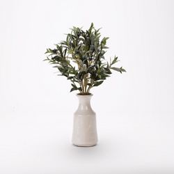 Olive Spray in White Ceramic Bottle with Tall Neck