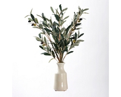 Olive Spray in White Ceramic Bottle
